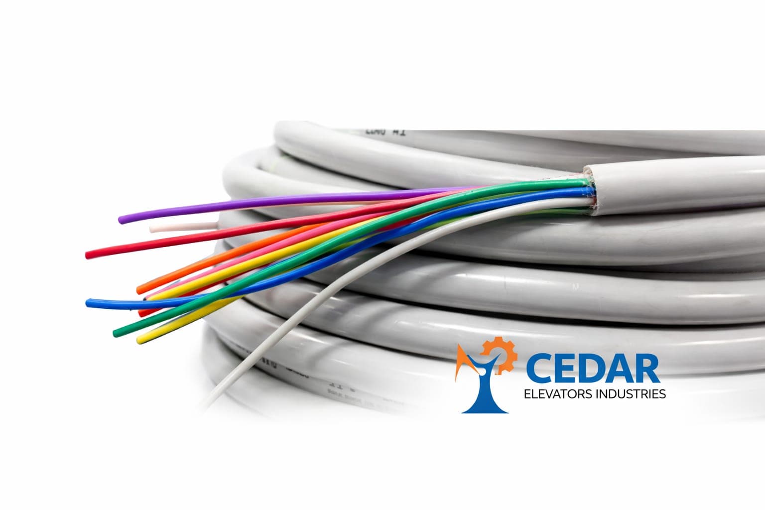 Display Cable - Image 1